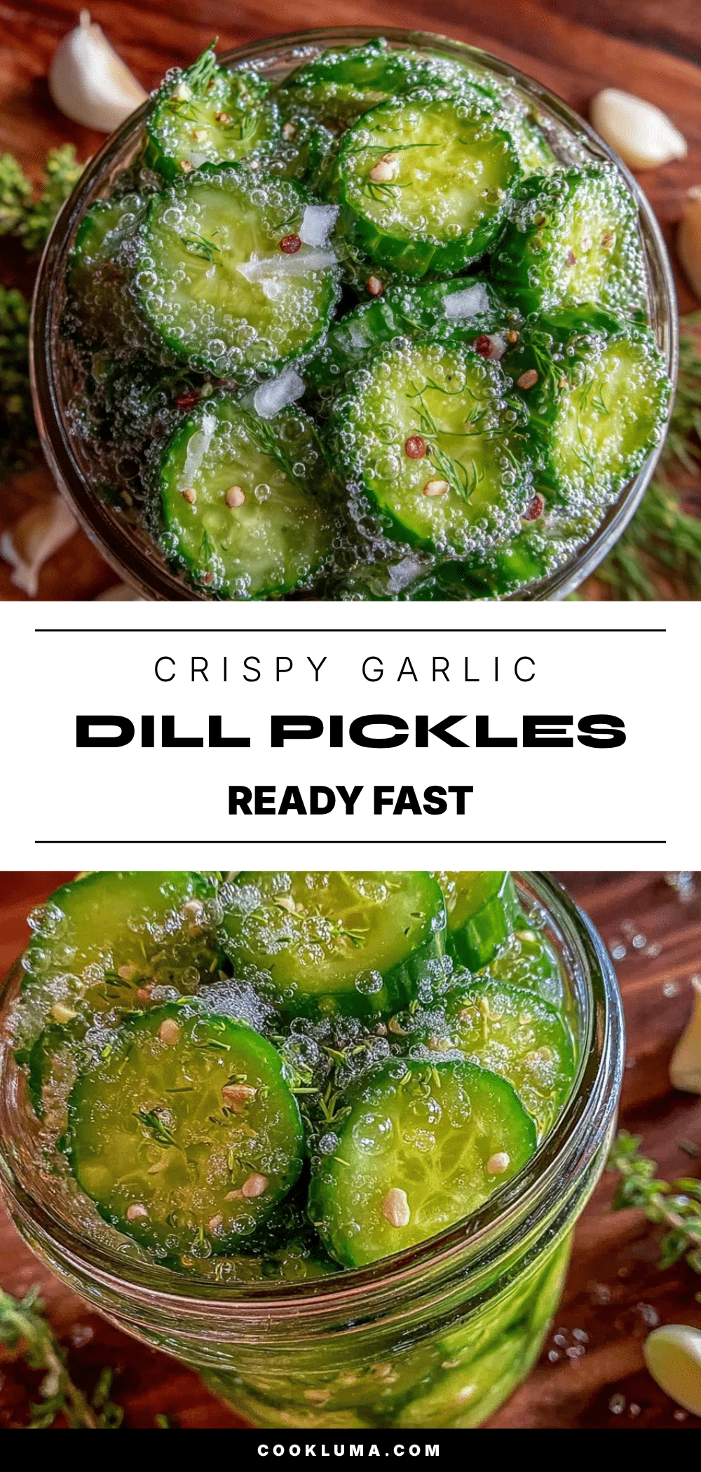 crispy garlic dill refrigerator pickles recipe