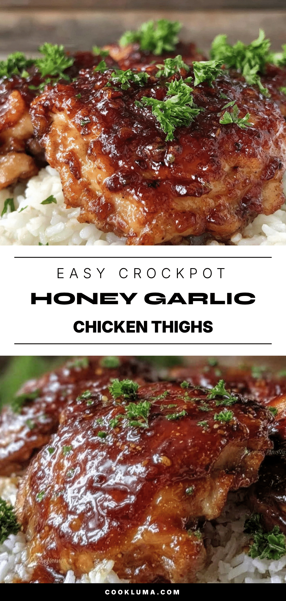 easy crockpot honey garlic chicken thighs recipe