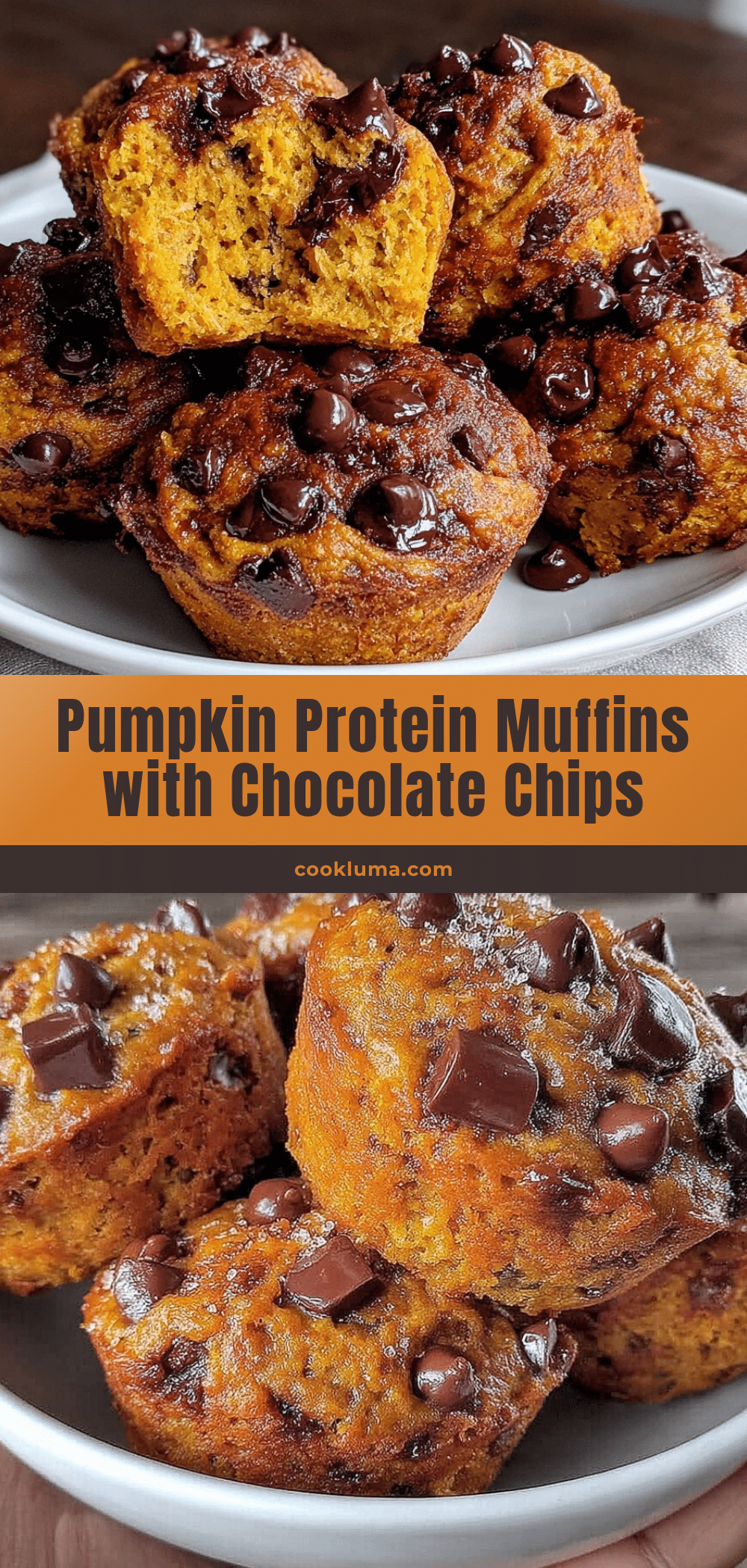 healthy pumpkin protein muffins recipe