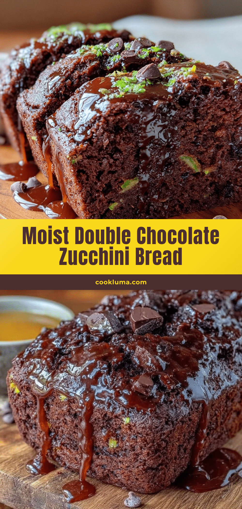 moist double chocolate zucchini bread recipe
