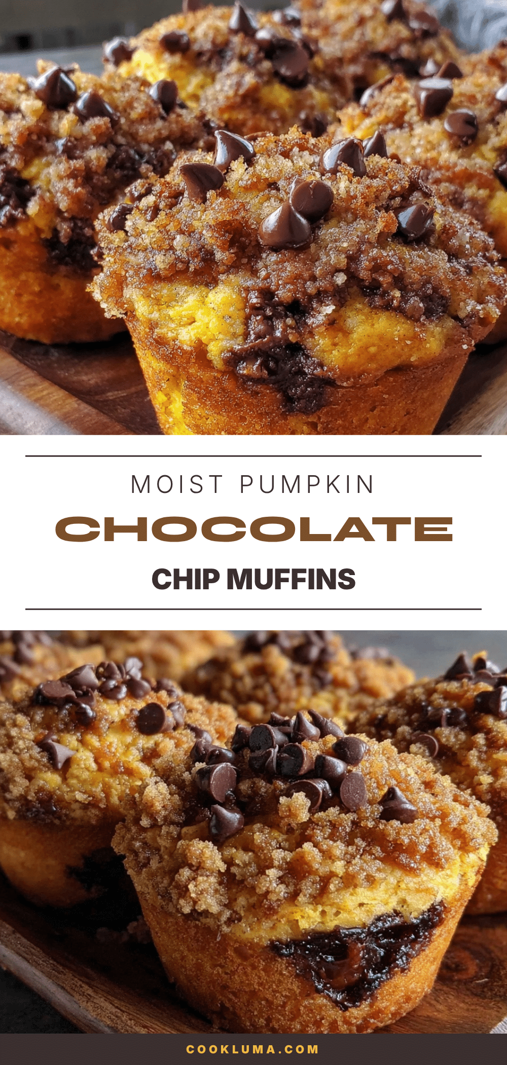pumpkin chocolate chip muffins recipe