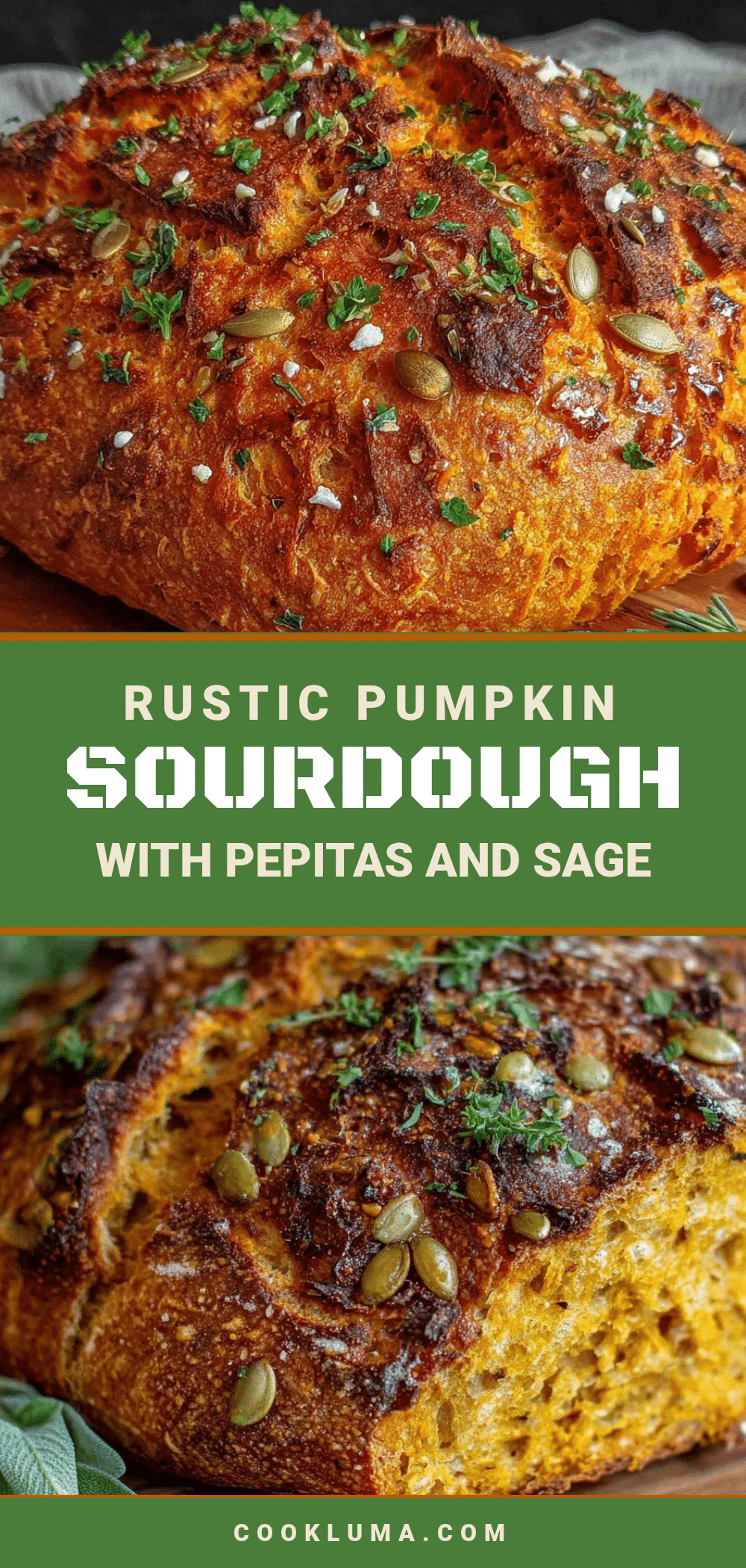 rustic pumpkin sourdough bread recipe