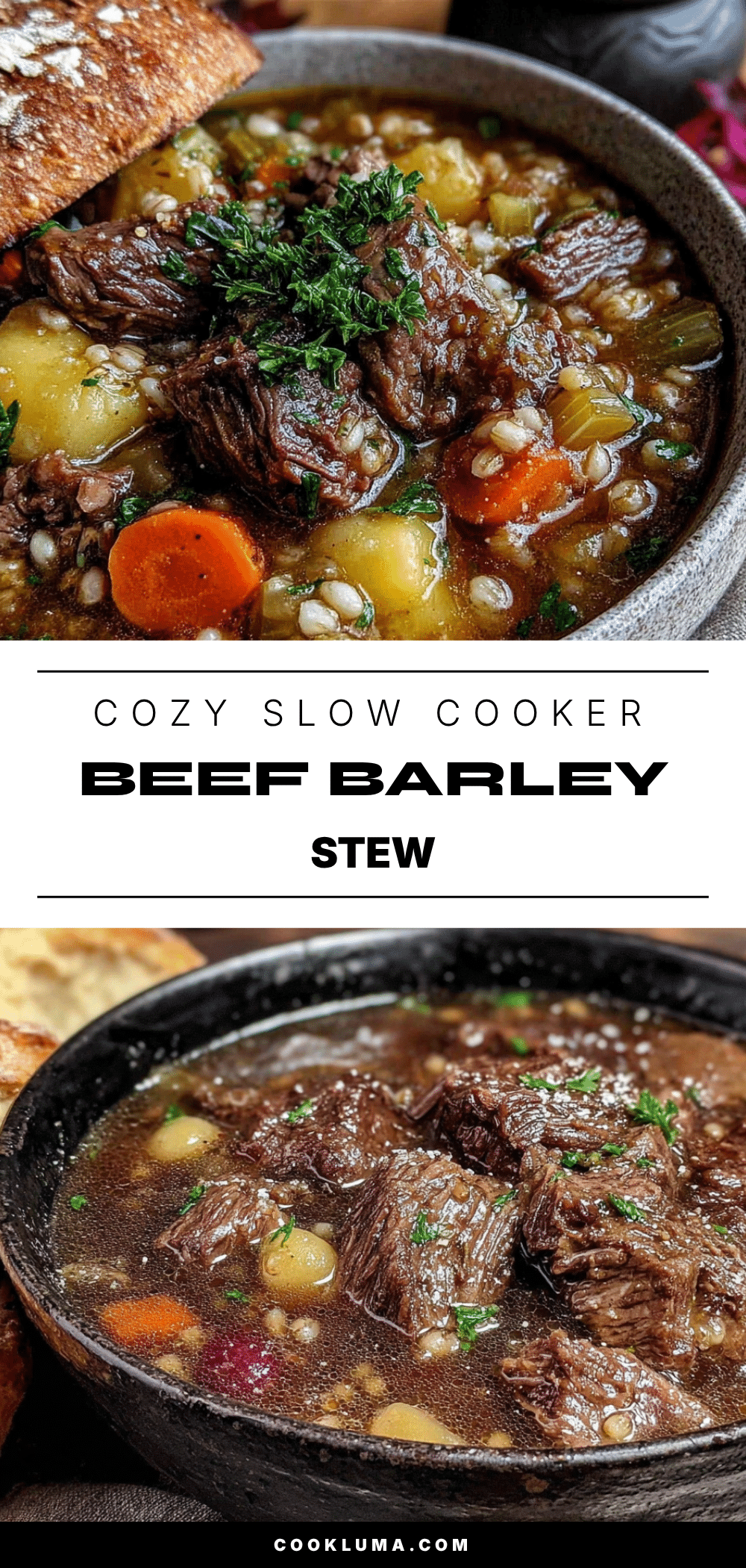 cozy crockpot beef and barley stew recipe
