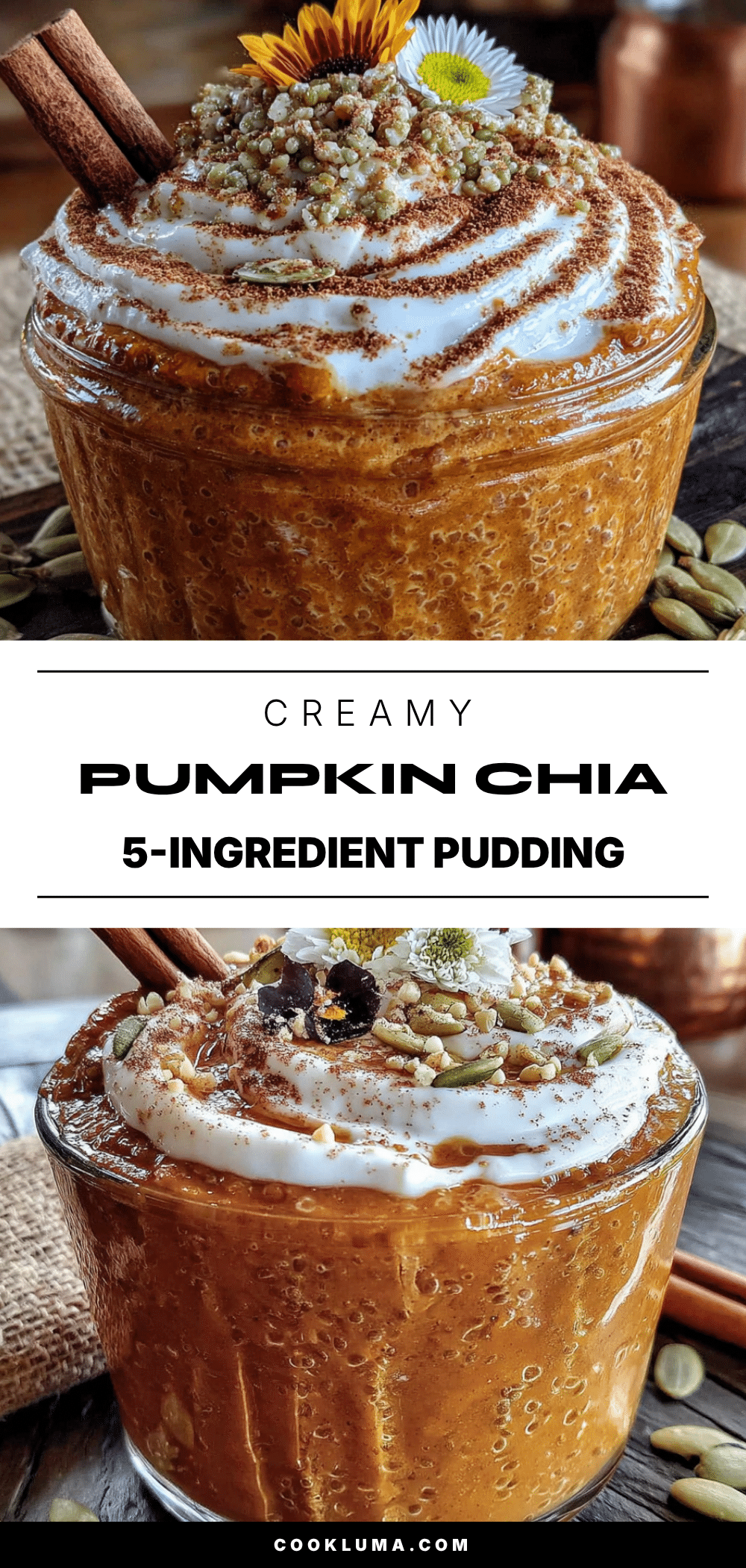 pumpkin chia seed pudding recipe