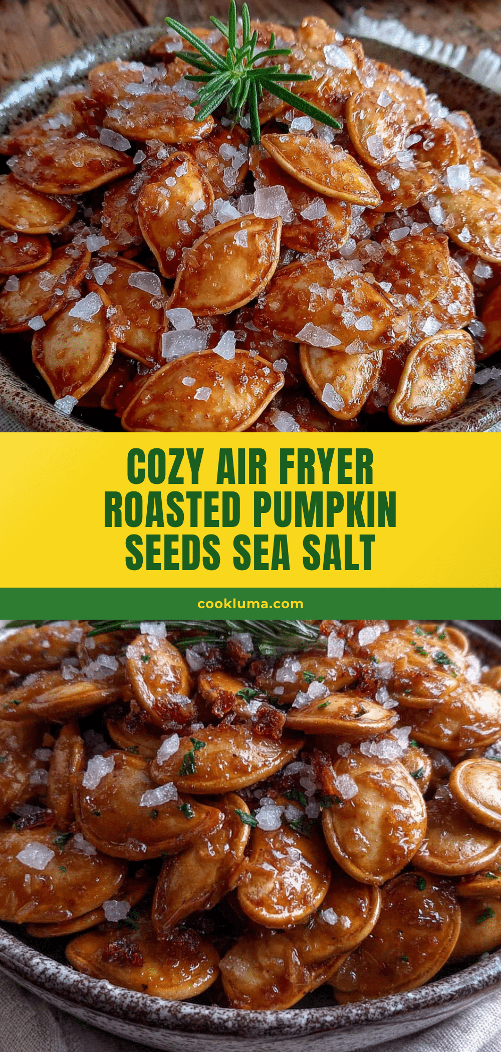 air fryer roasted pumpkin seeds recipe