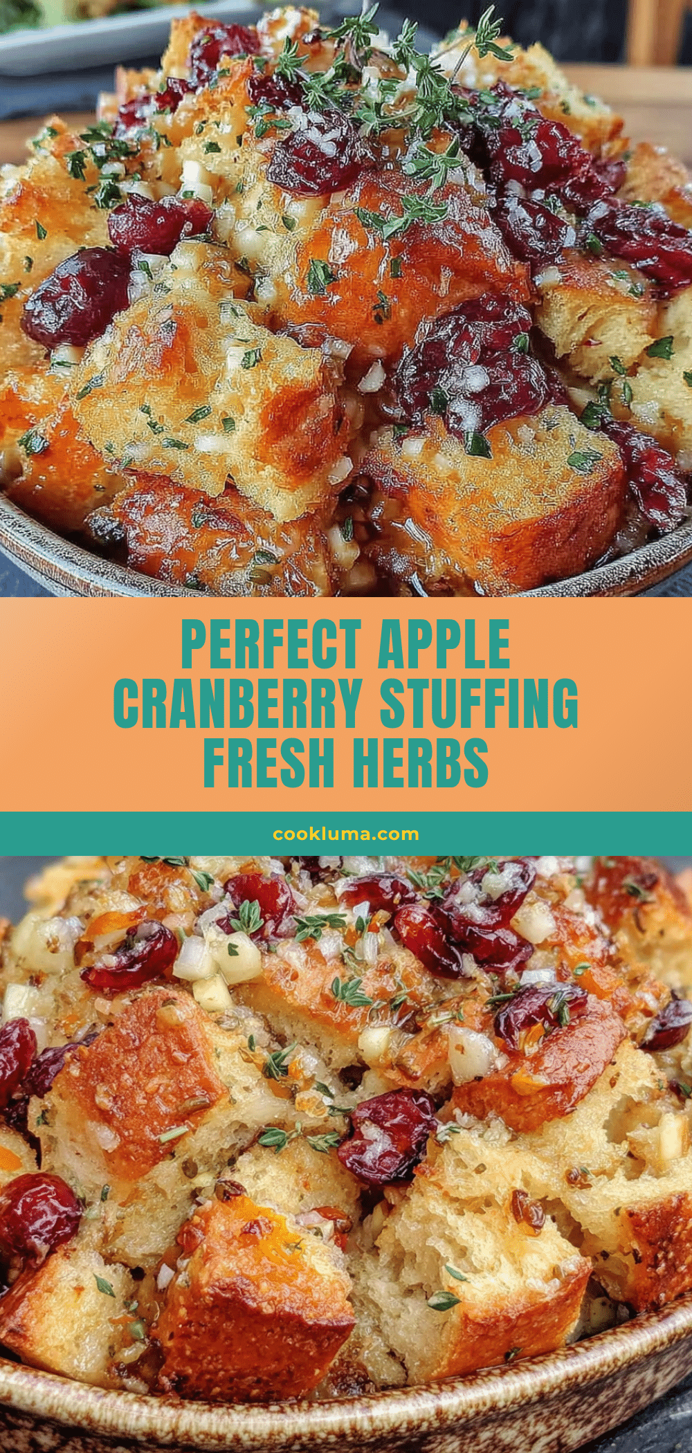 apple cranberry stuffing recipe