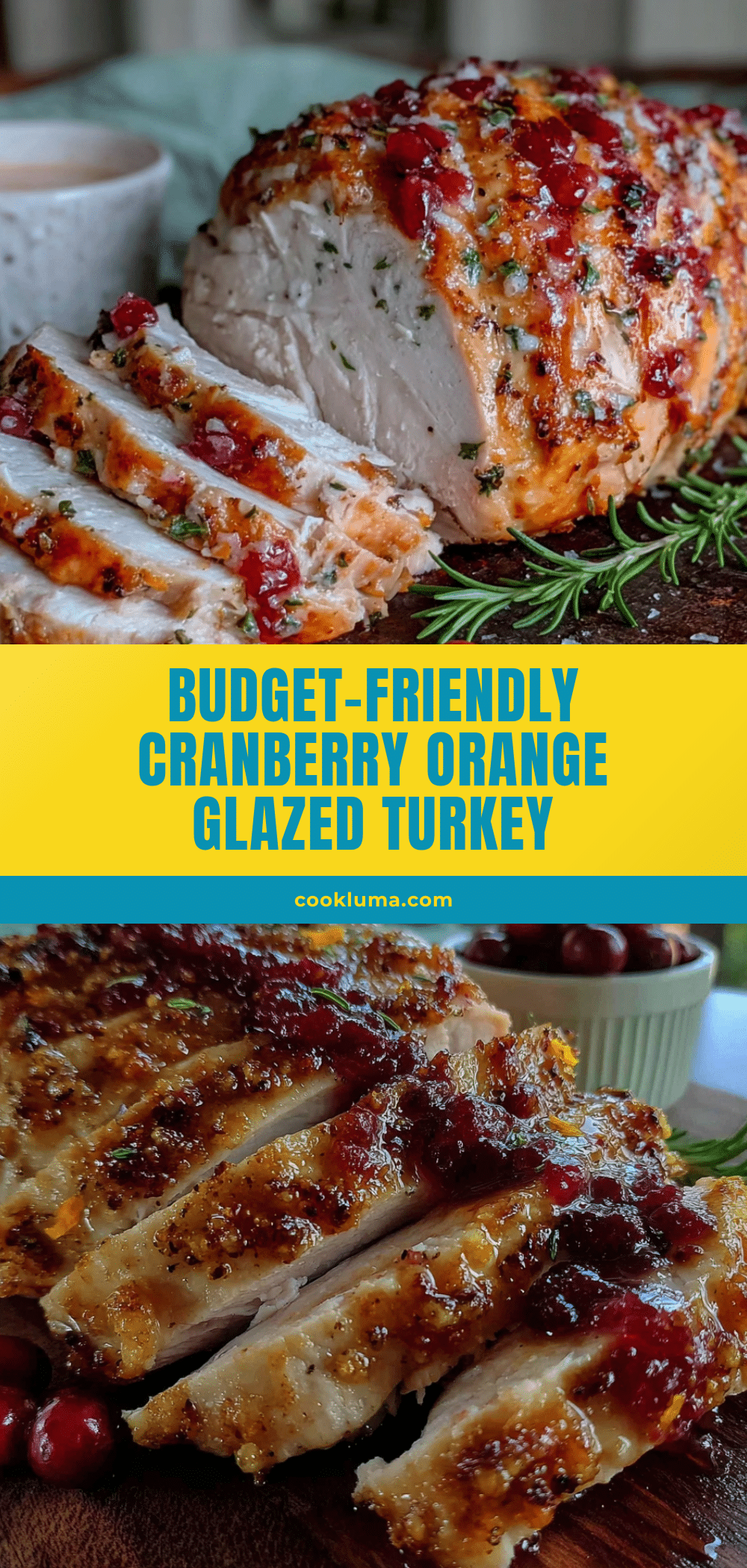 budget-friendly cranberry orange glazed turkey breast recipe
