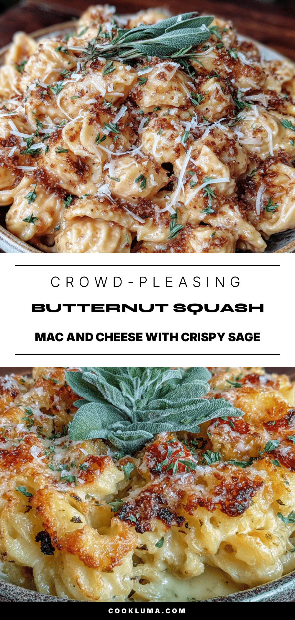 butternut squash mac and cheese recipe