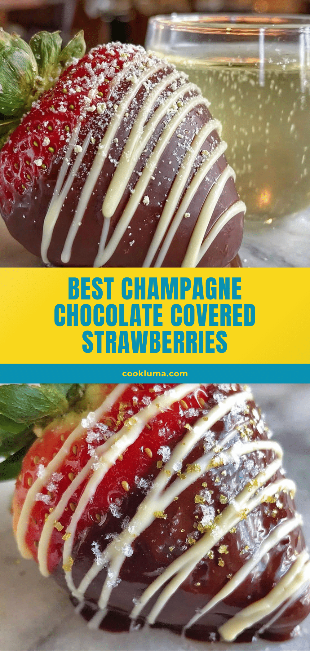 champagne chocolate covered strawberries recipe