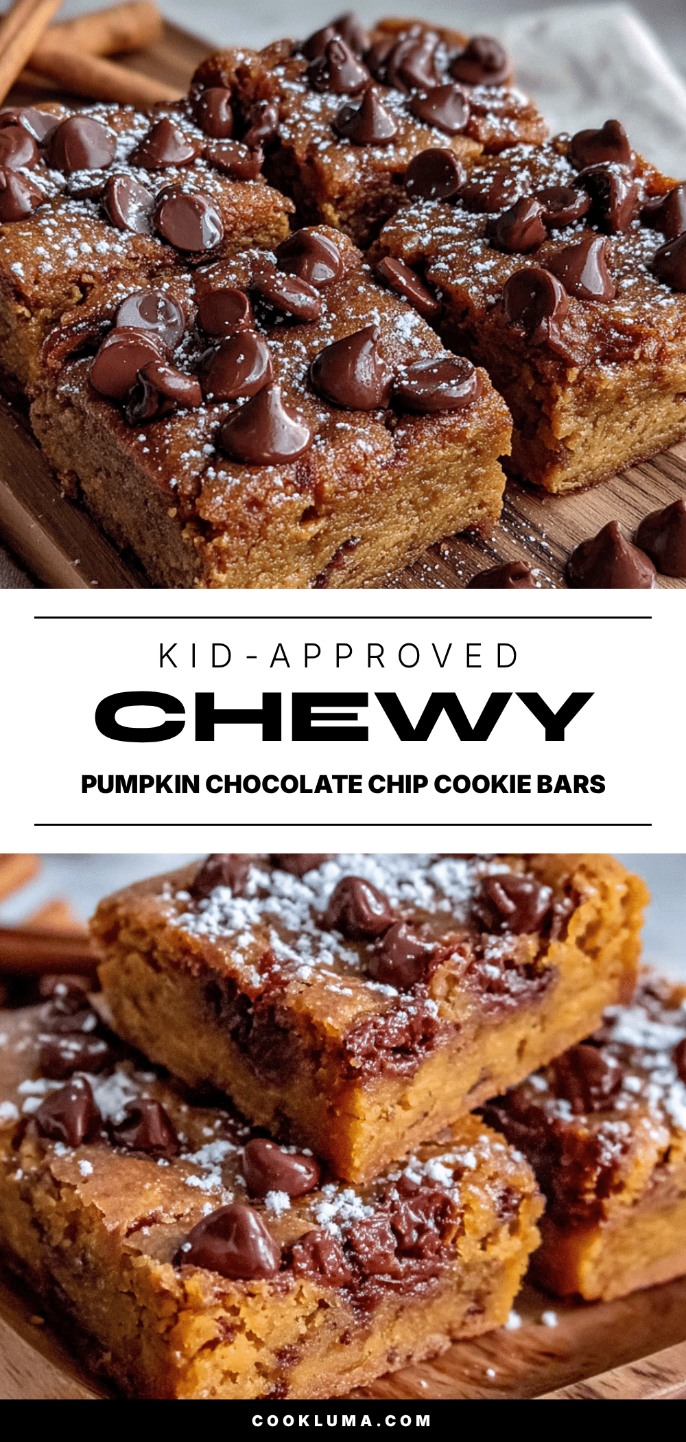 chewy pumpkin chocolate chip cookie bars recipe