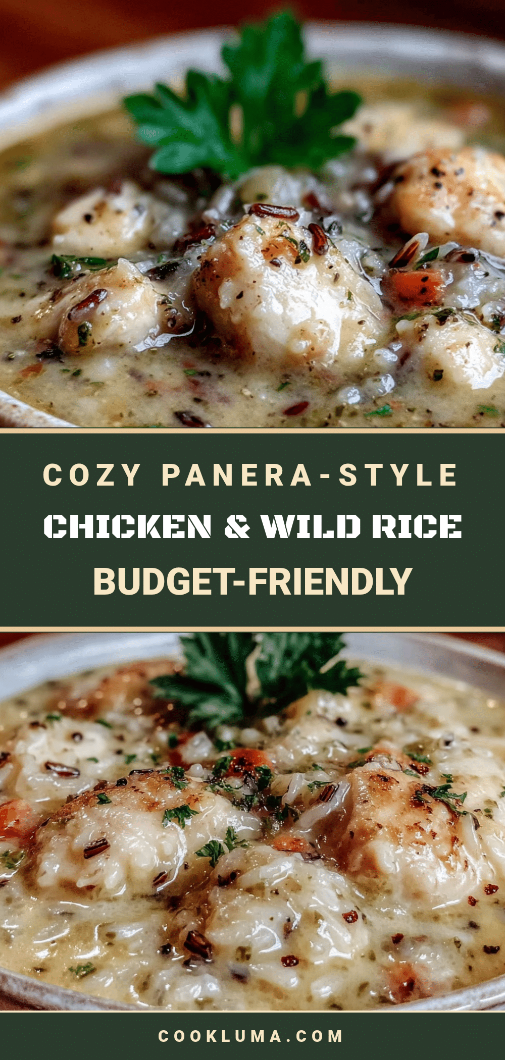 chicken and wild rice soup recipe