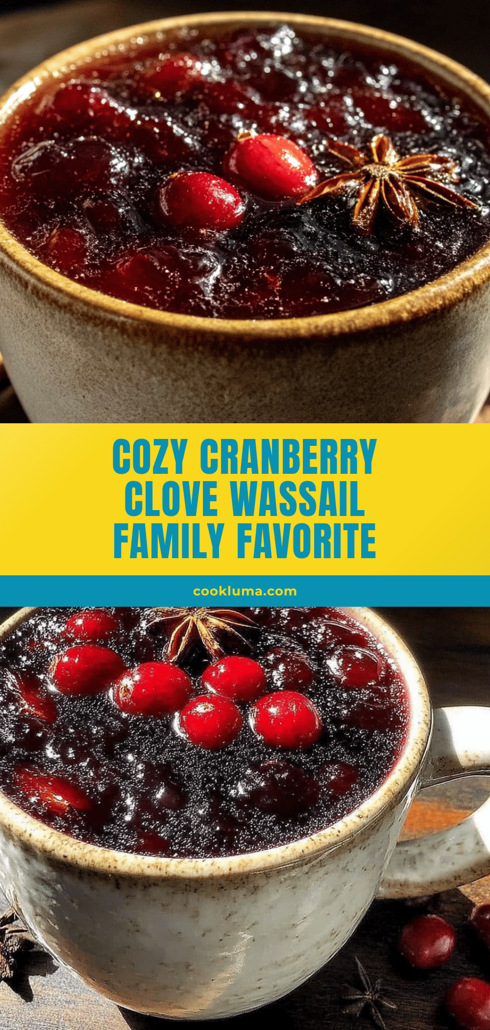cozy cranberry clove wassail recipe