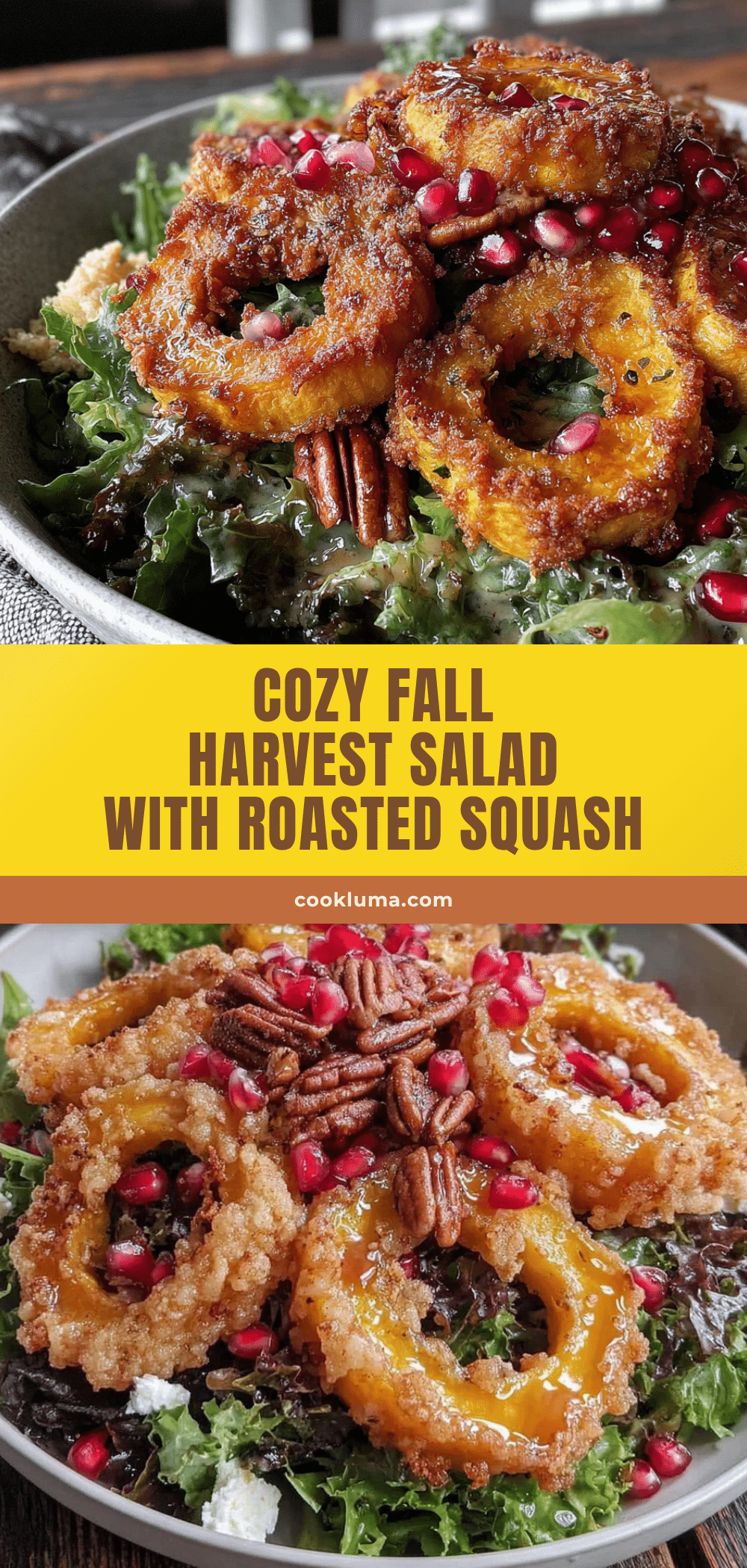 cozy fall harvest salad with roasted delicata squash recipe