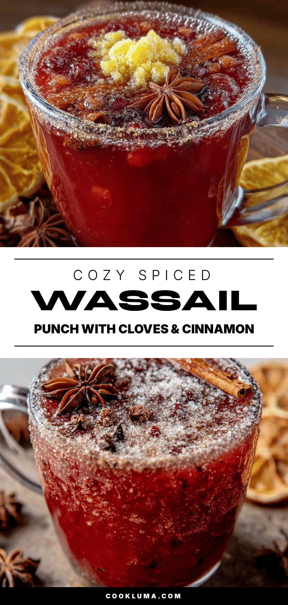 cozy spiced wassail punch with cloves and cinnamon recipe