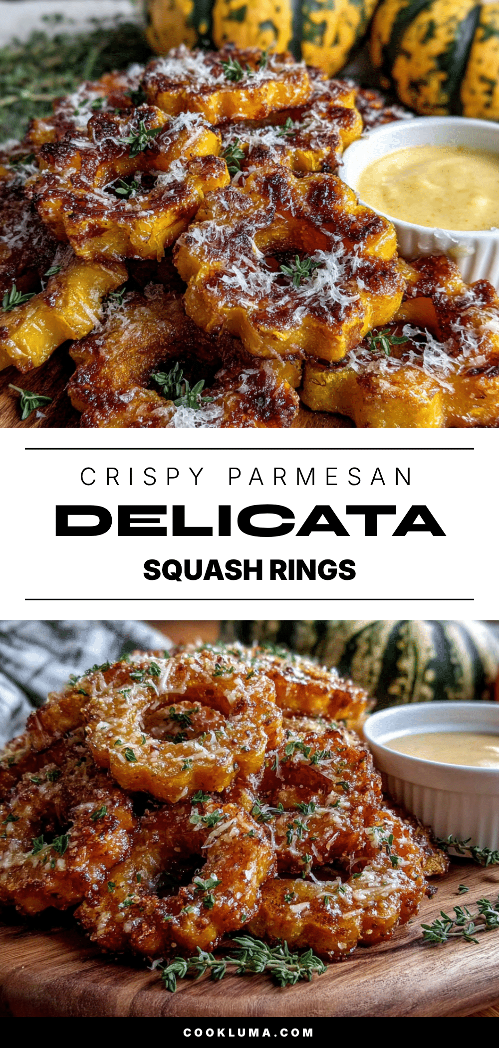 crispy parmesan delicata squash rings recipe