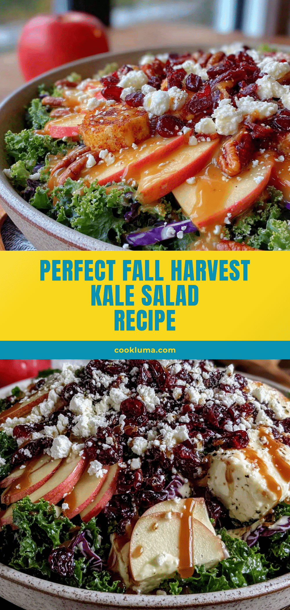 fall harvest kale salad with apple cider vinaigrette recipe