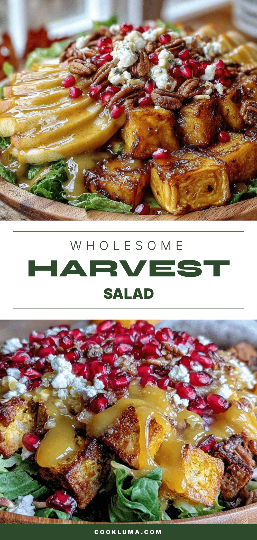 fall harvest salad recipe