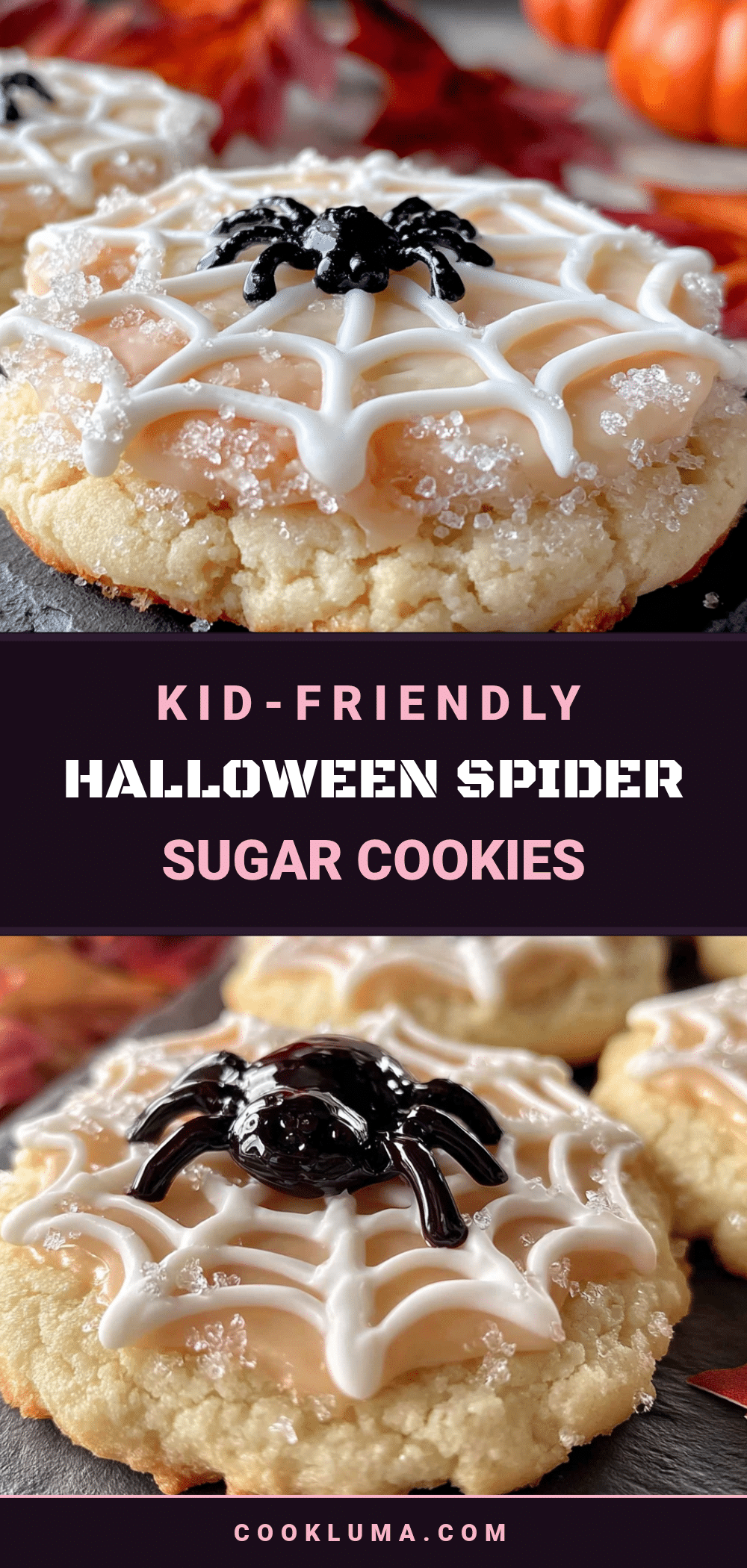 halloween spider sugar cookies recipe