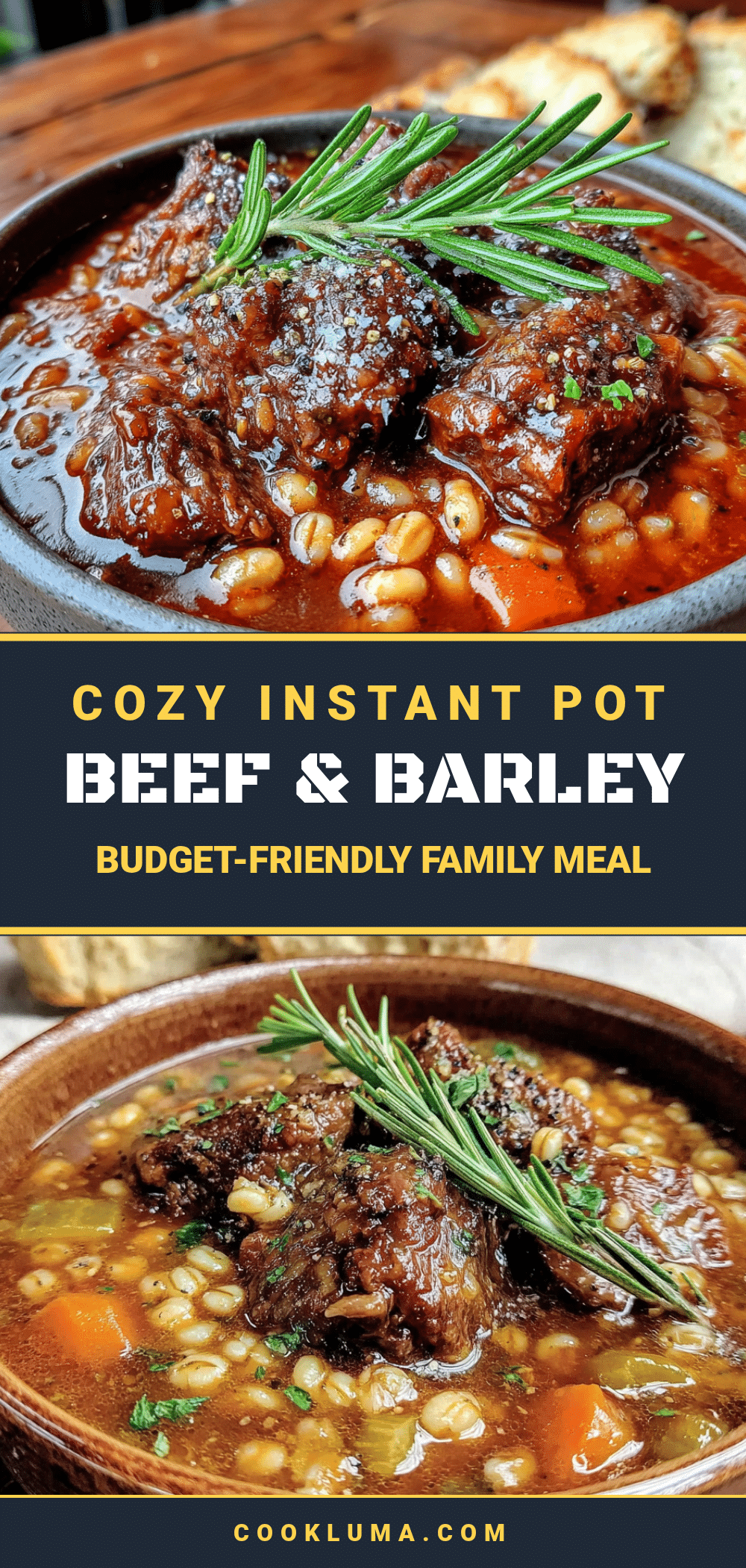 instant pot beef and barley stew recipe