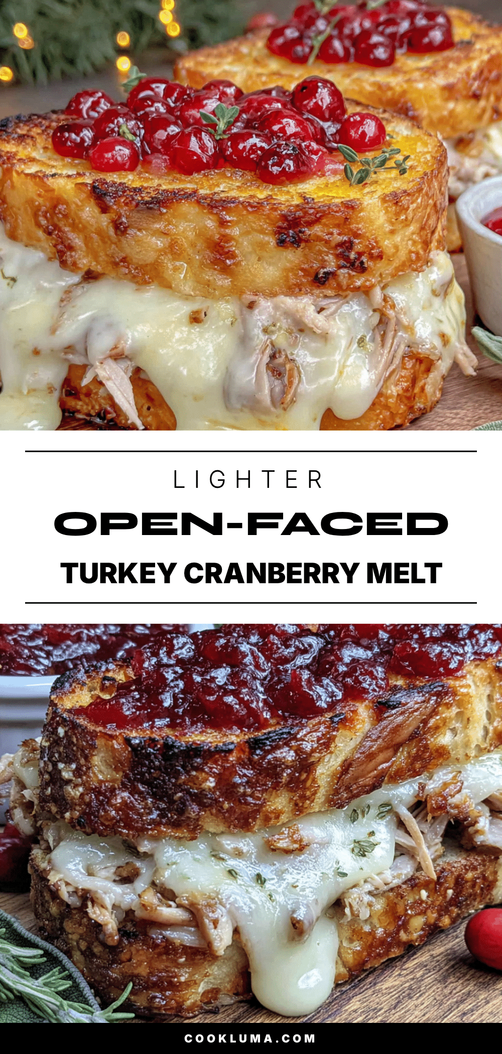 light open-faced turkey cranberry melt recipe