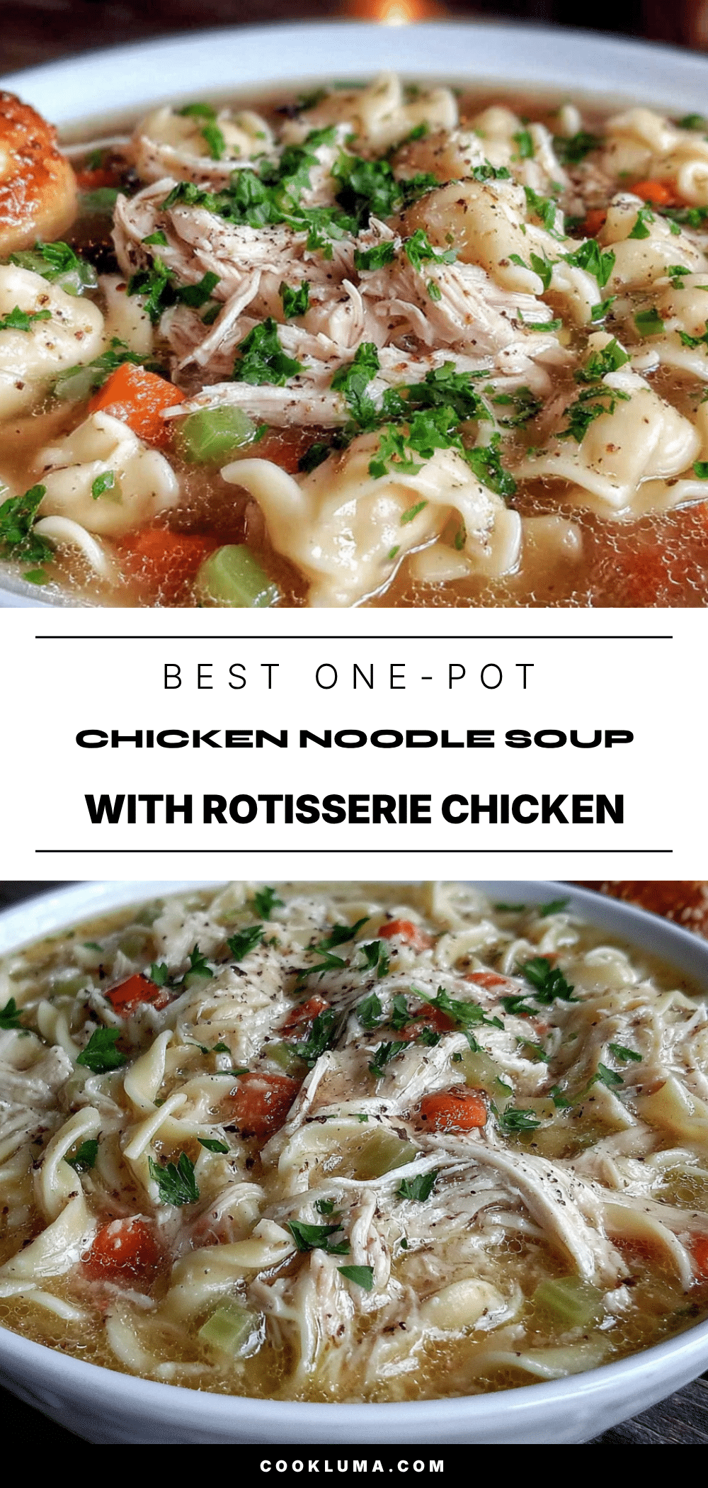 one-pot chicken noodle soup with rotisserie chicken recipe