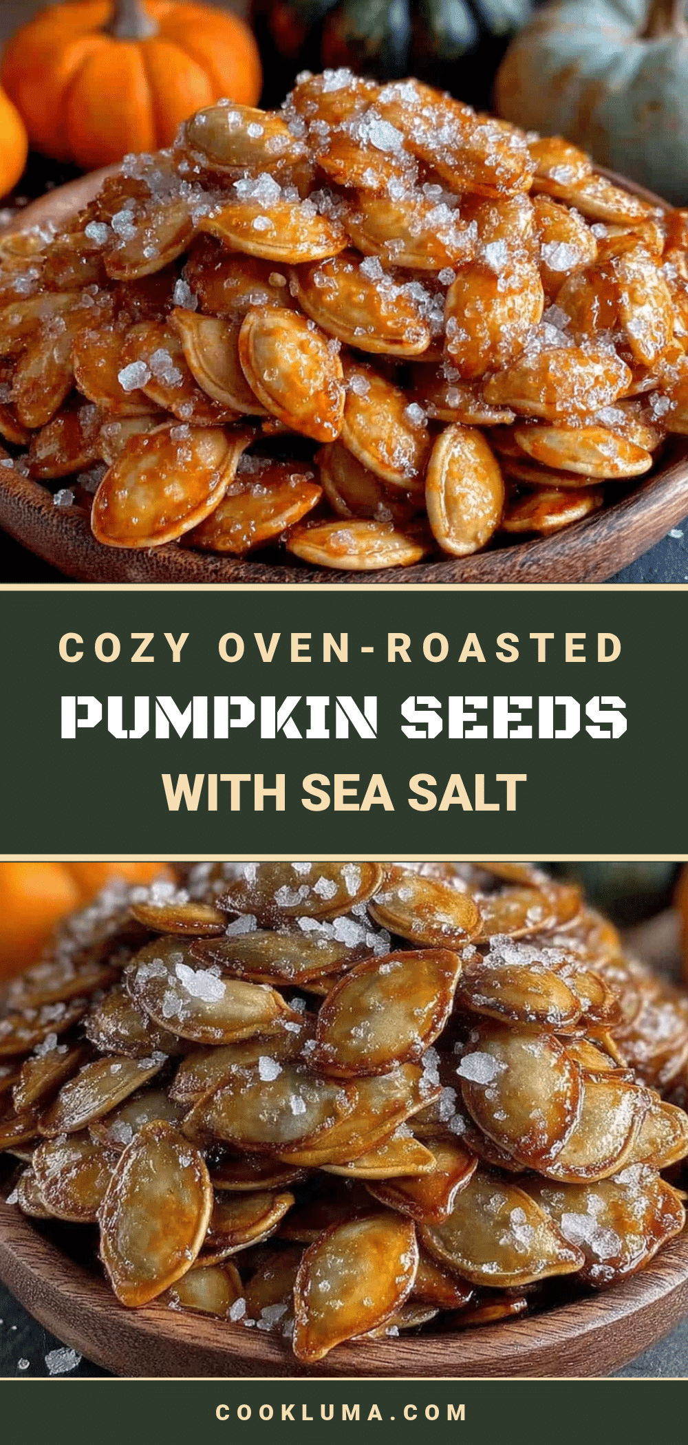 roasted pumpkin seeds with sea salt recipe