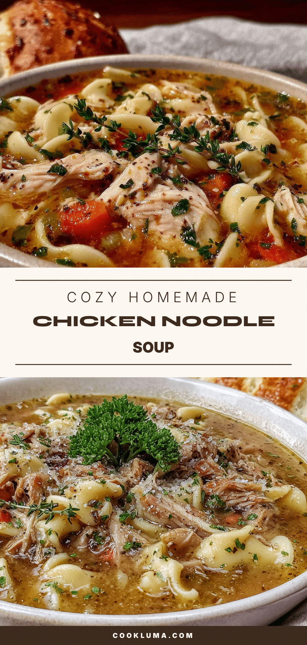 rotisserie chicken noodle soup recipe