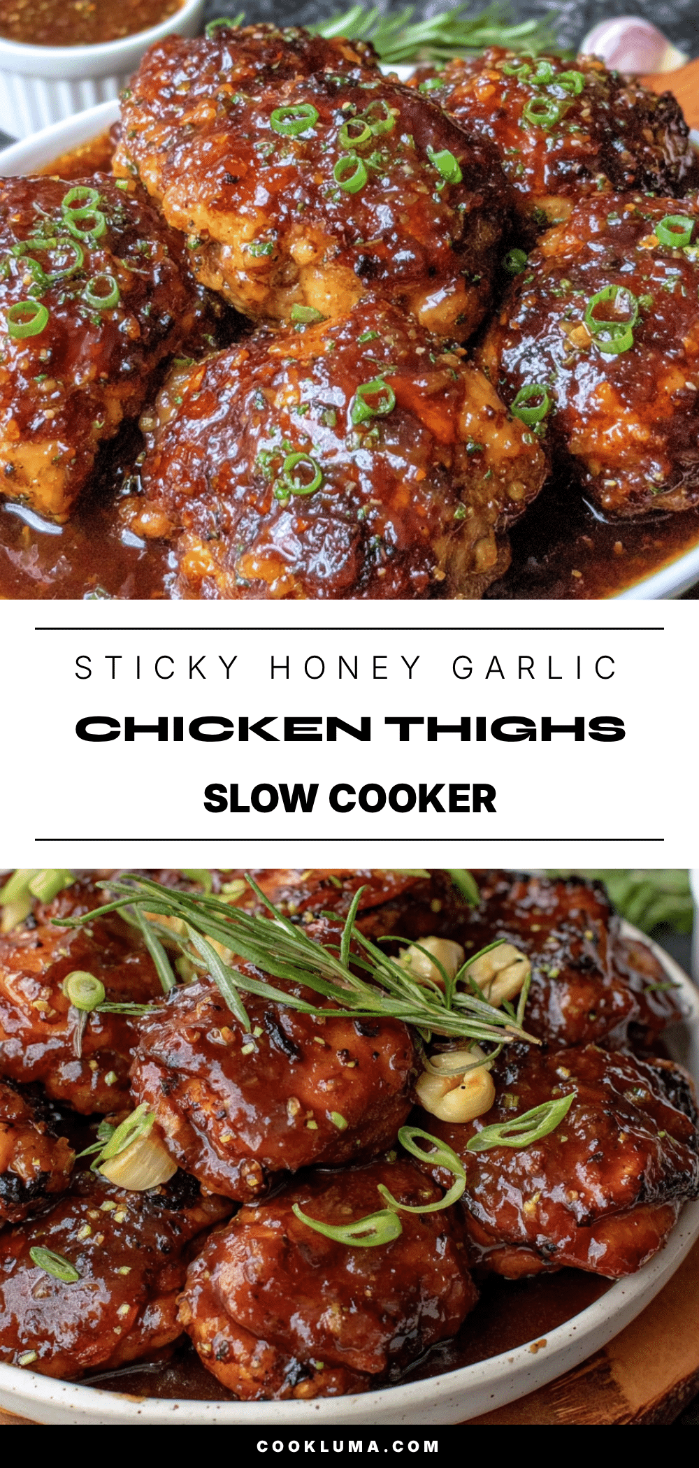 slow cooker honey garlic chicken recipe