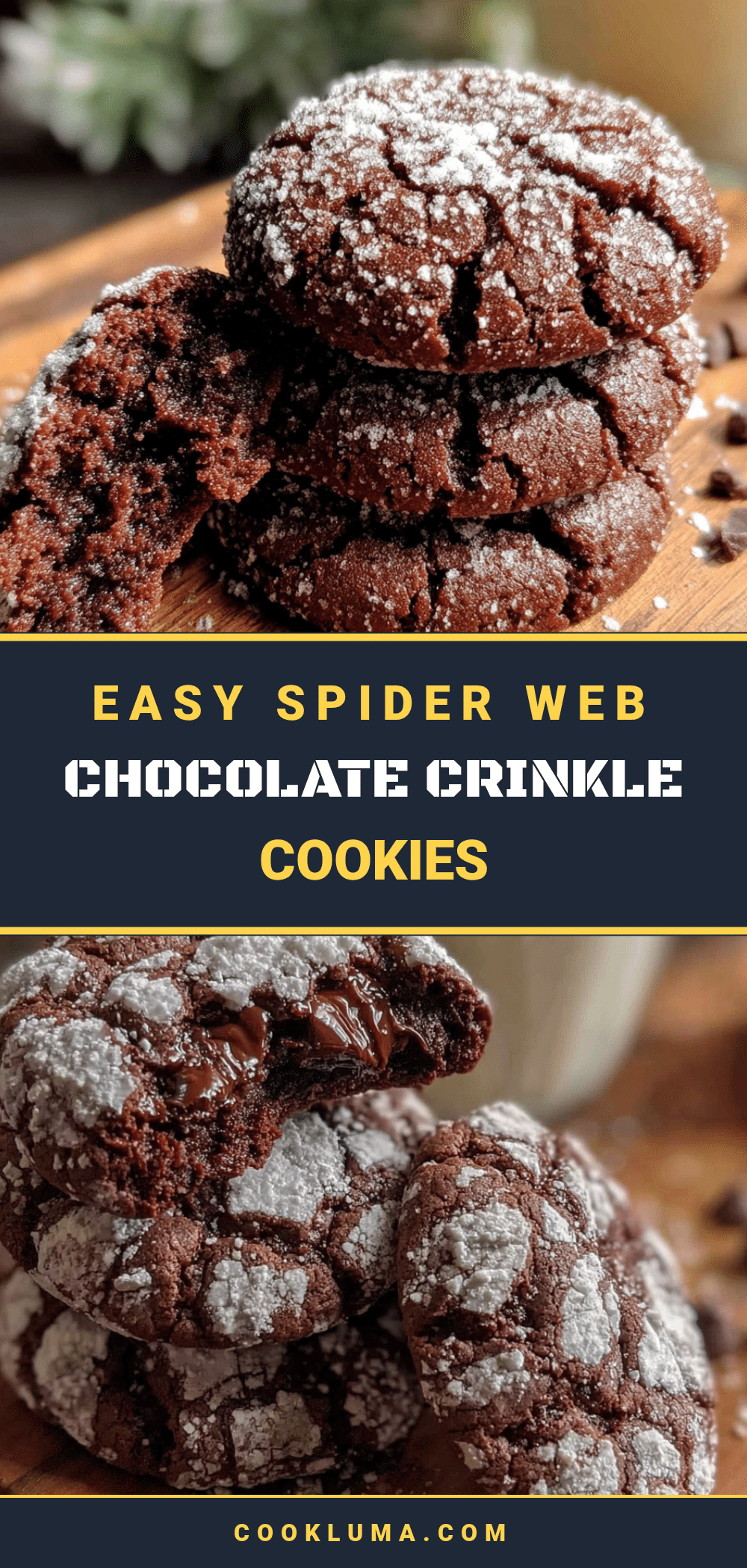 spider web chocolate crinkle cookies recipe