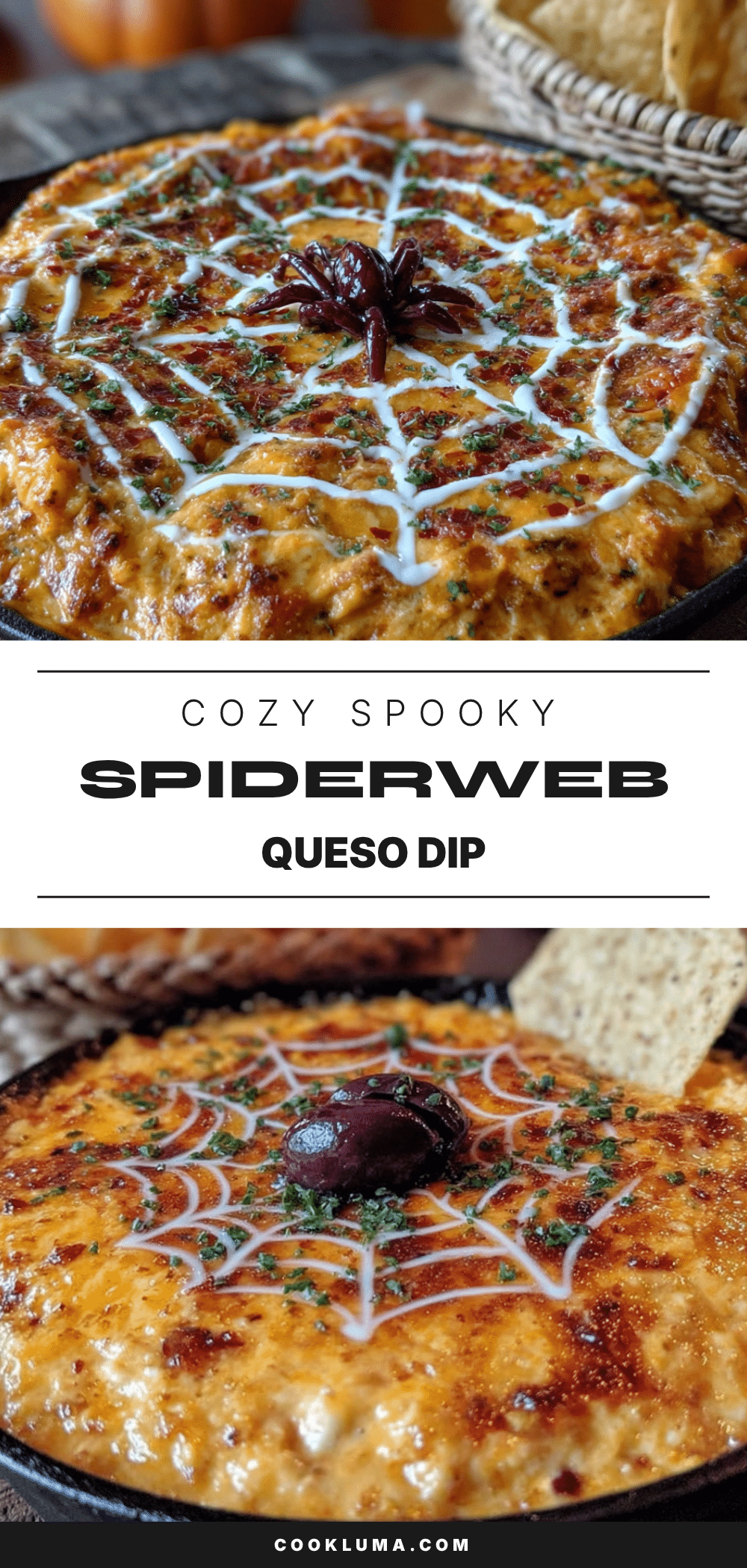 spiderweb queso dip recipe