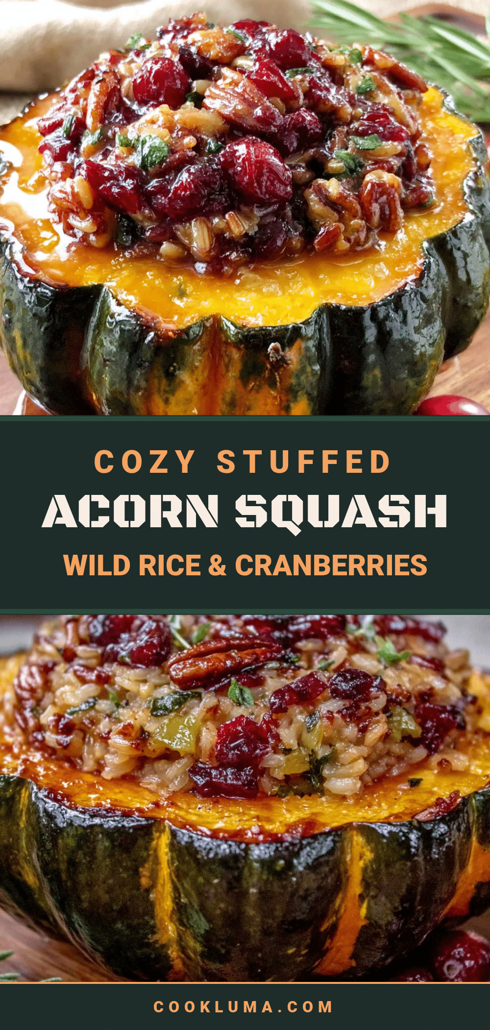stuffed acorn squash with wild rice and cranberries recipe