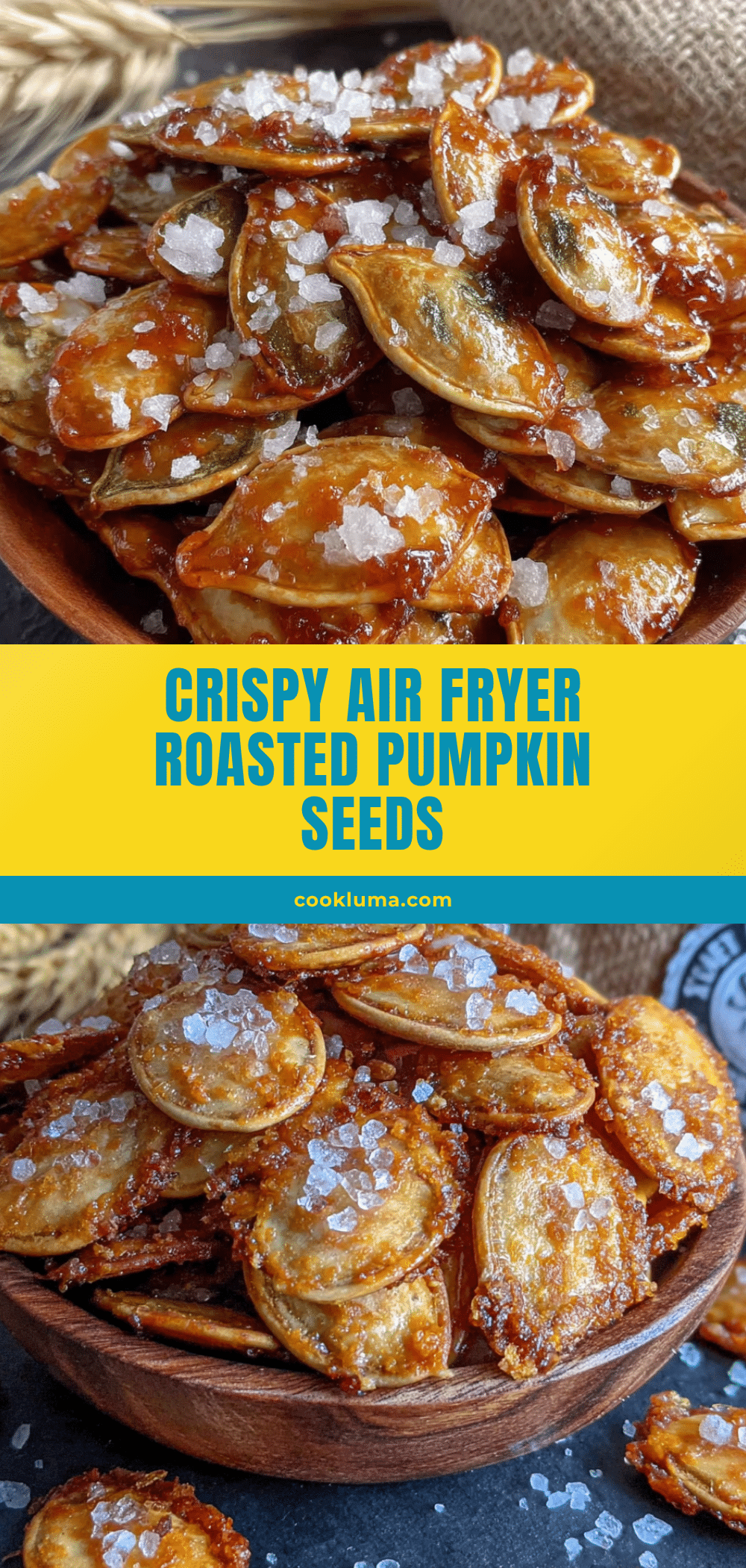 air fryer roasted pumpkin seeds recipe