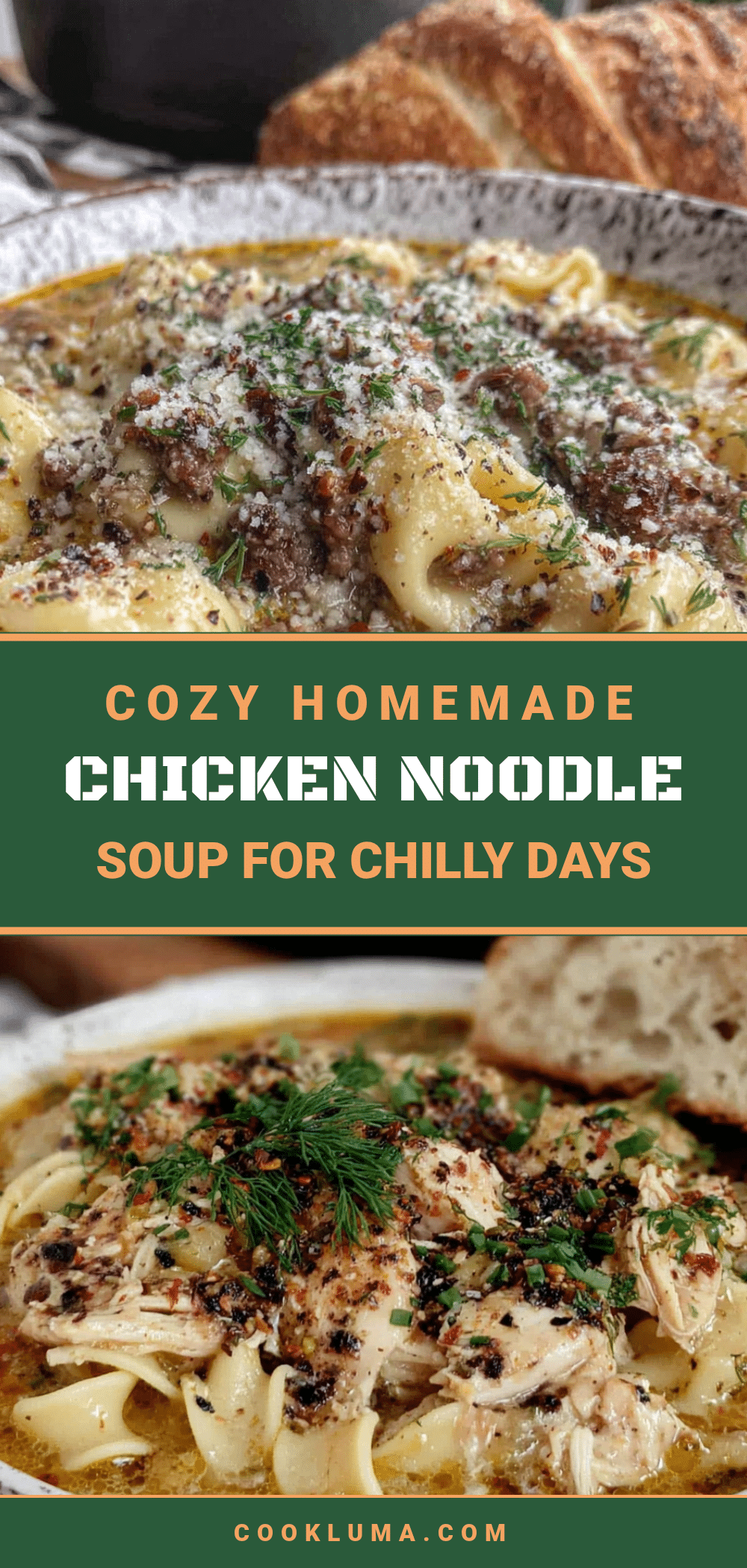 best homemade chicken noodle soup recipe