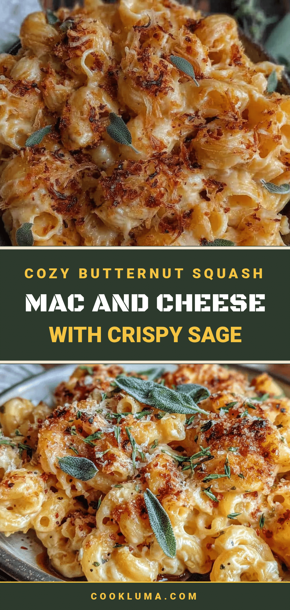 butternut squash mac and cheese recipe