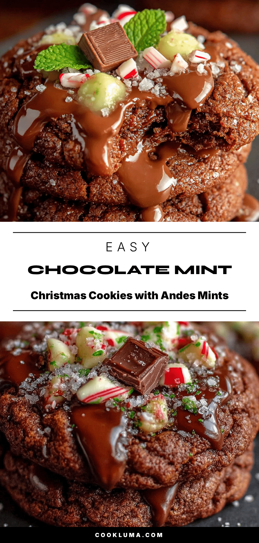 chocolate mint christmas cookies recipe