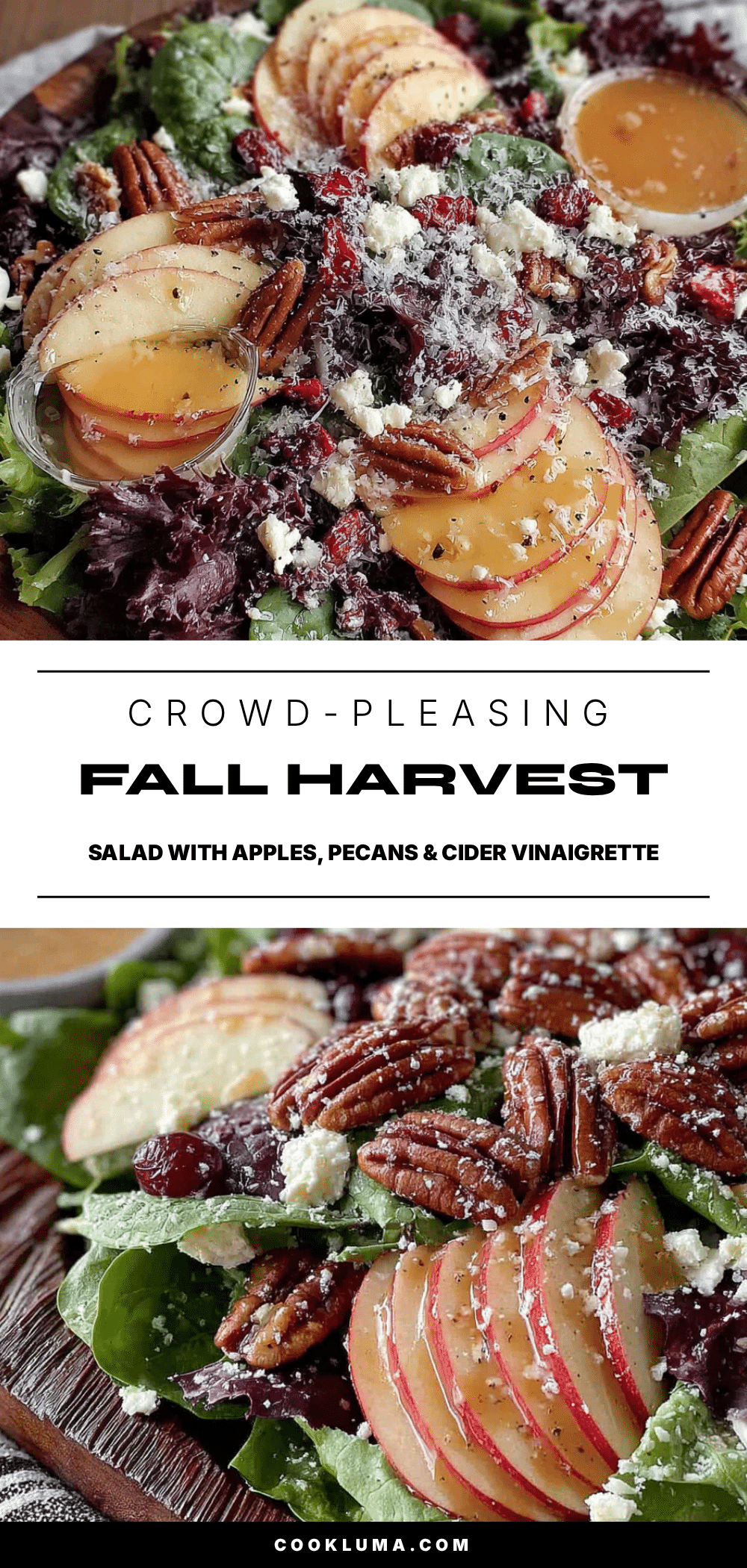 fall harvest salad recipe