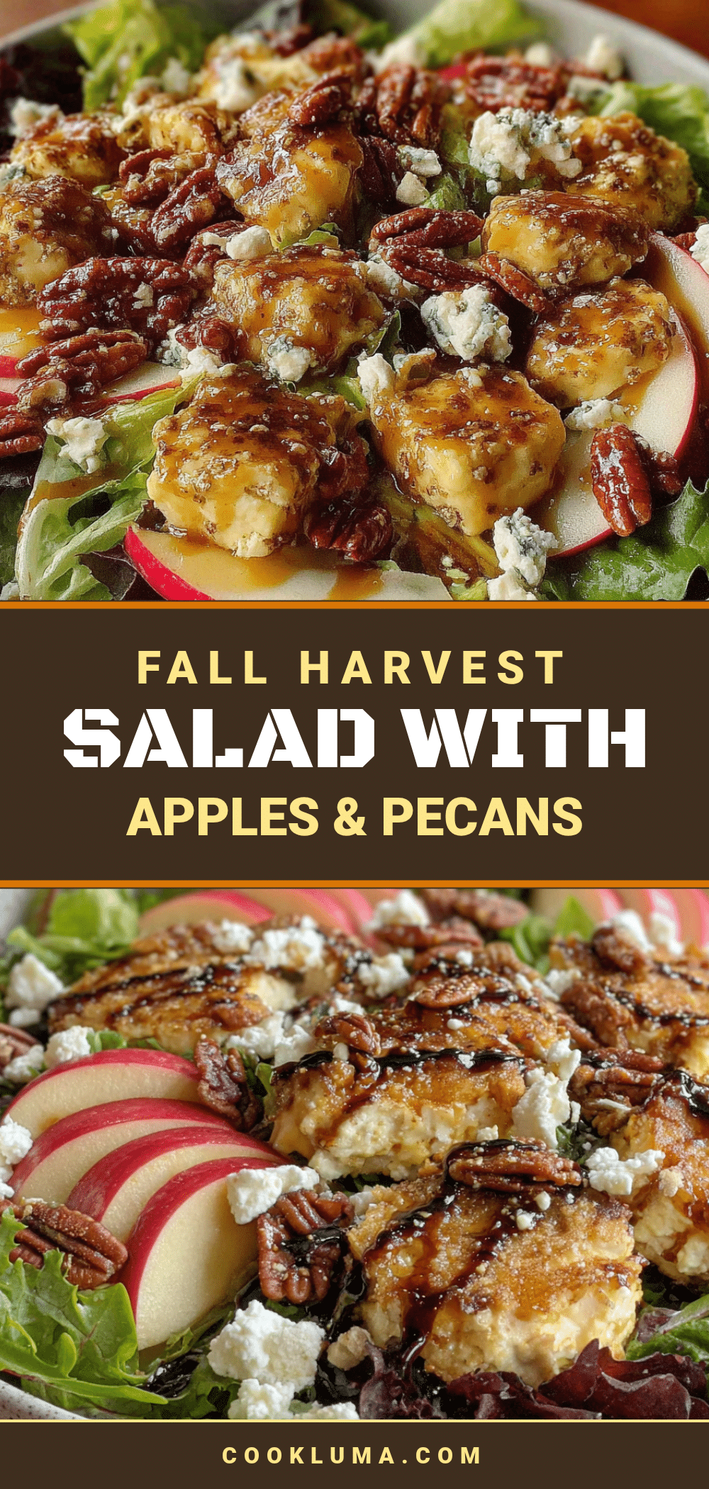 fall harvest salad recipe