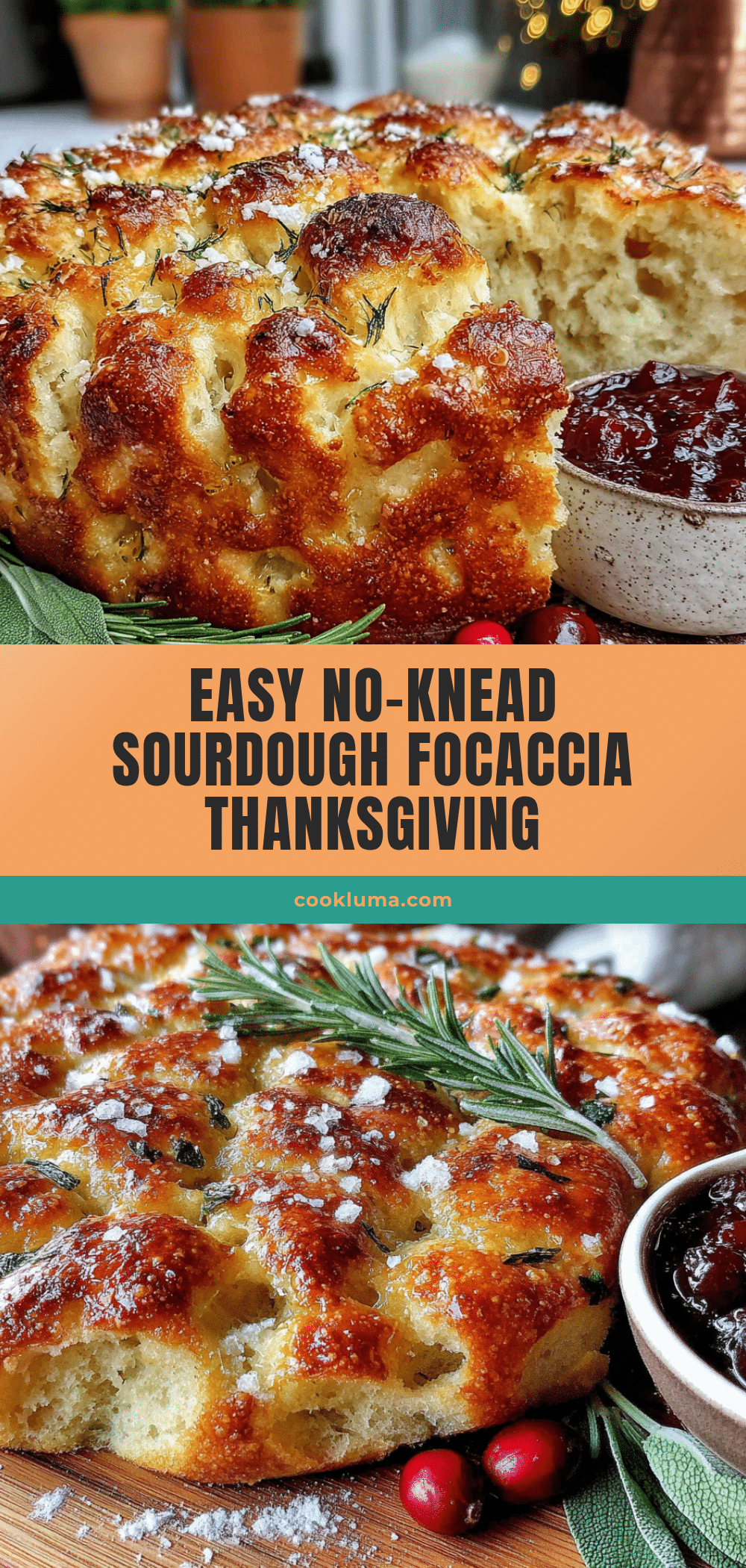 no-knead sourdough focaccia recipe