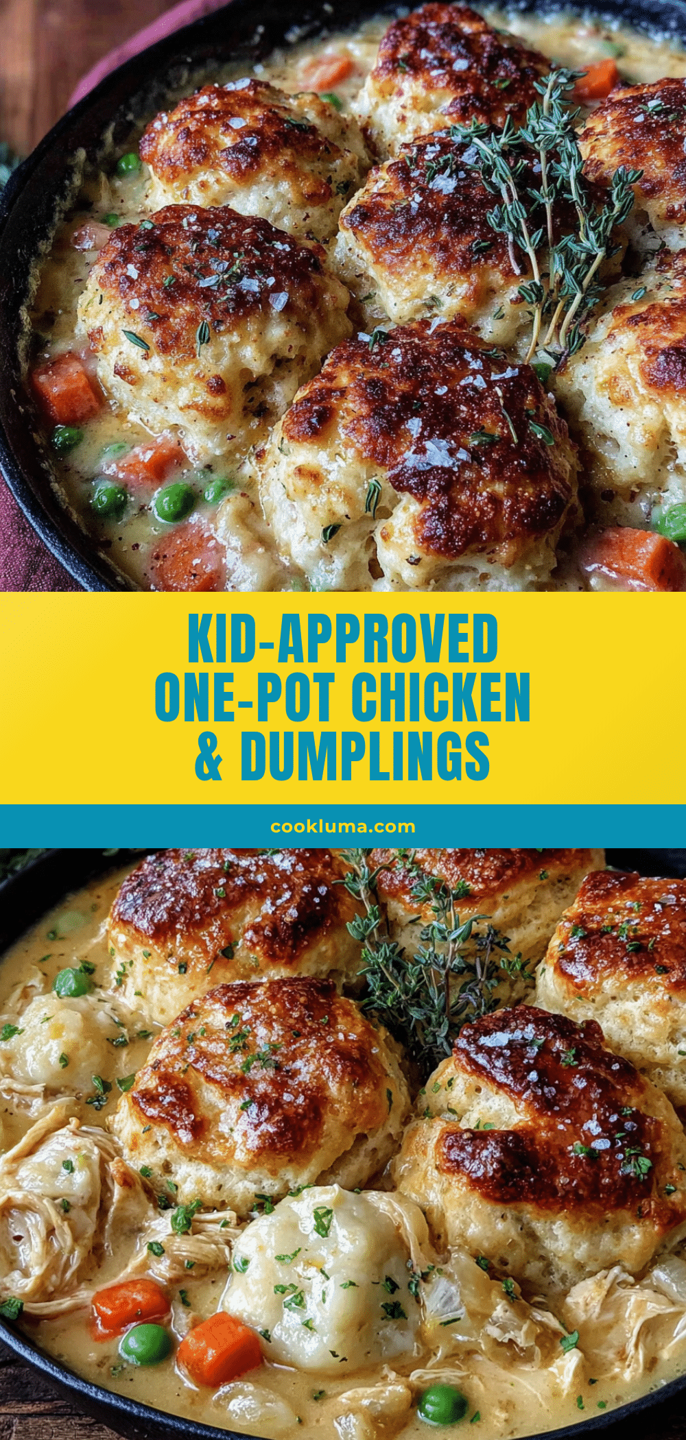 one-pot chicken and dumplings recipe