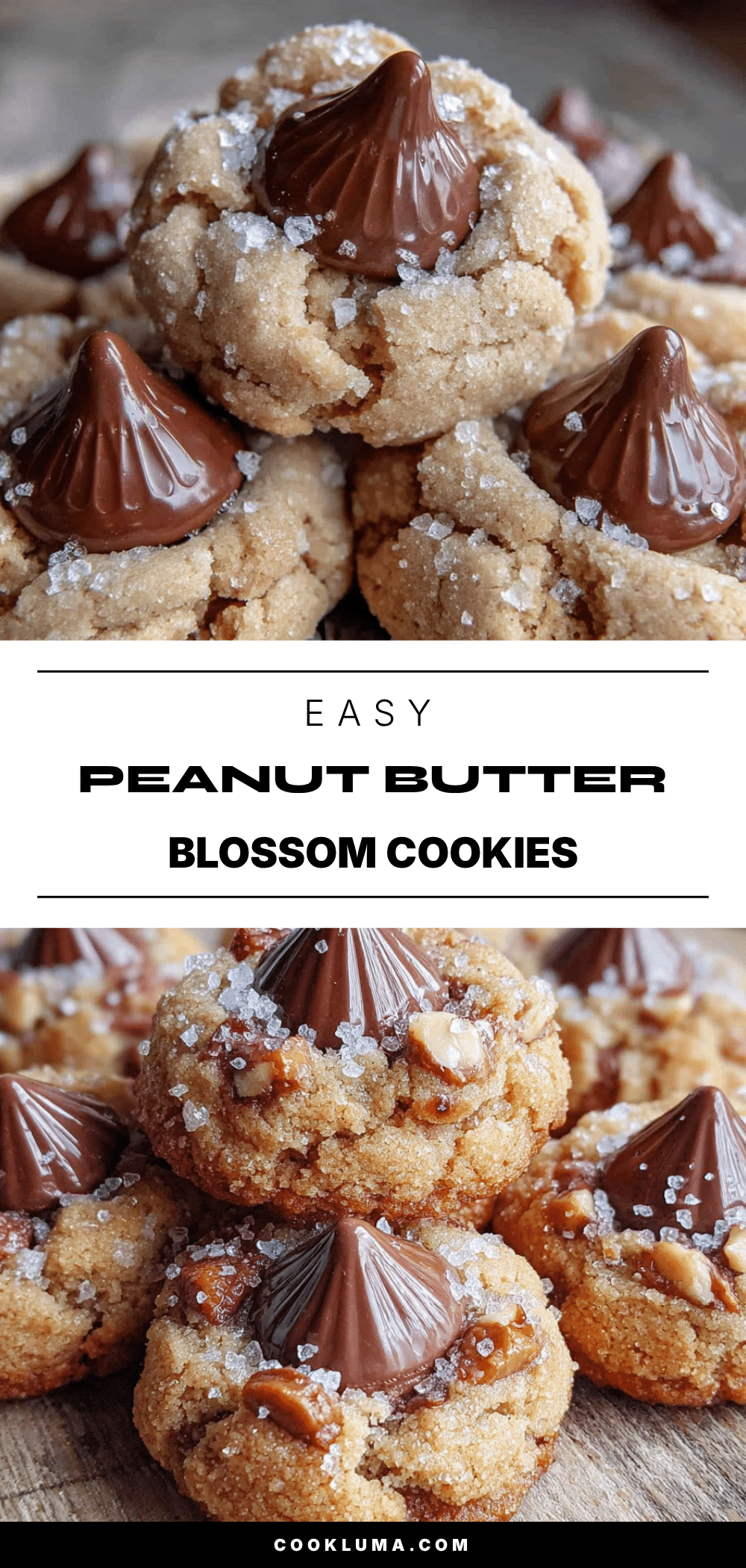 peanut butter blossom cookies recipe