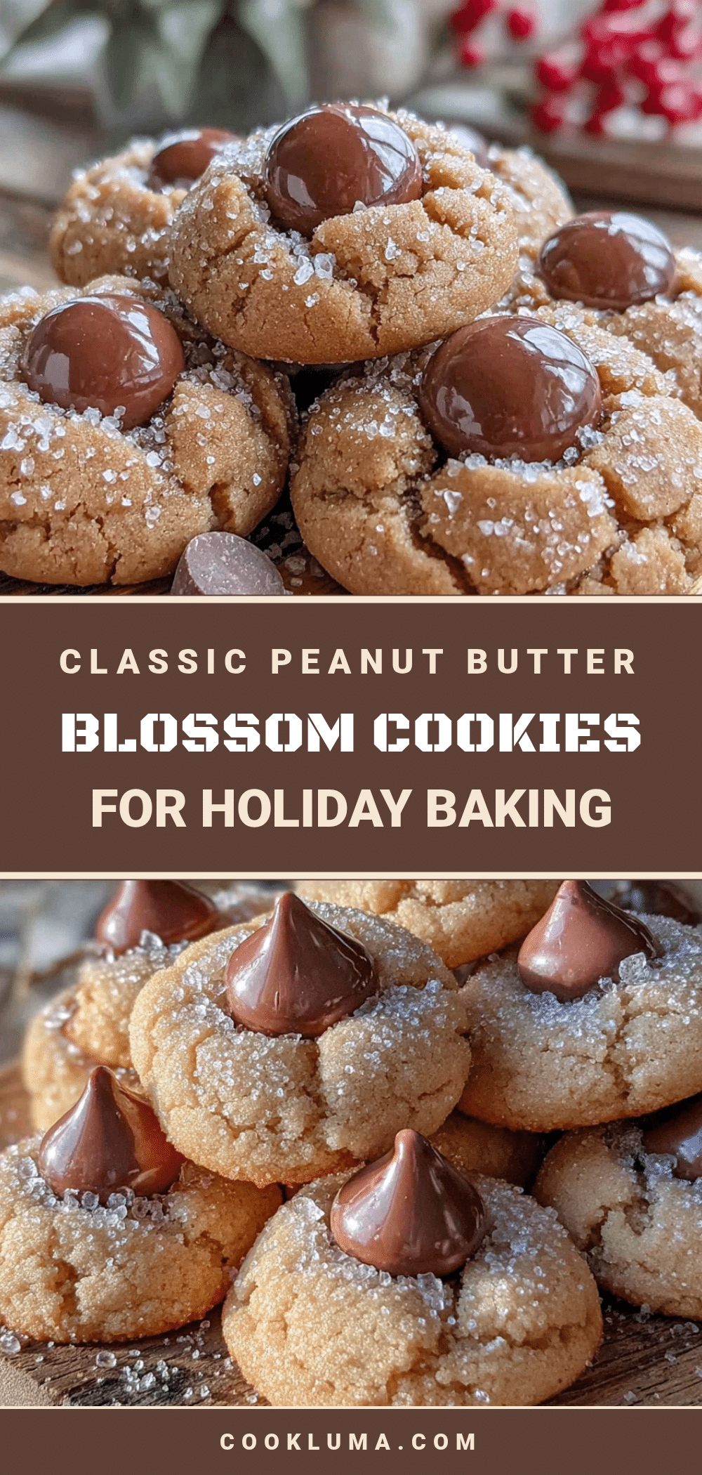 peanut butter blossom cookies recipe