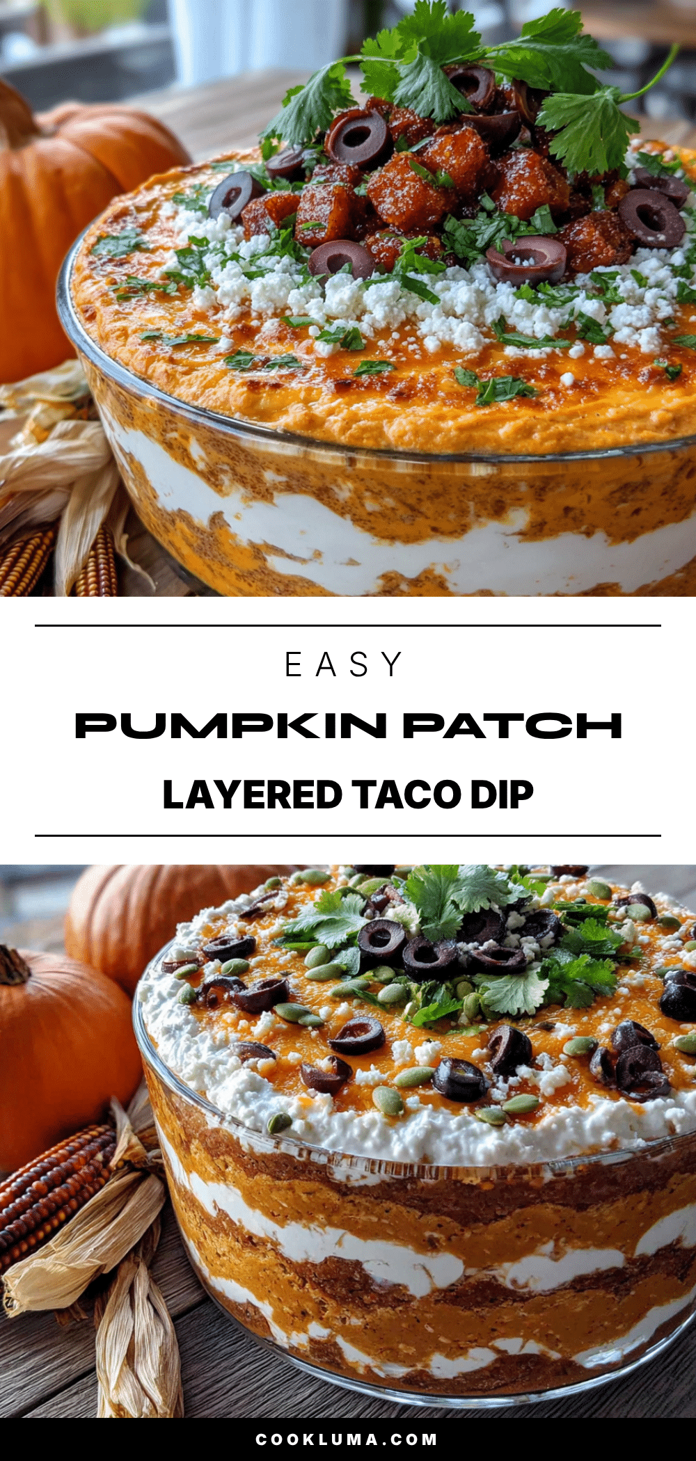 pumpkin layered taco dip recipe