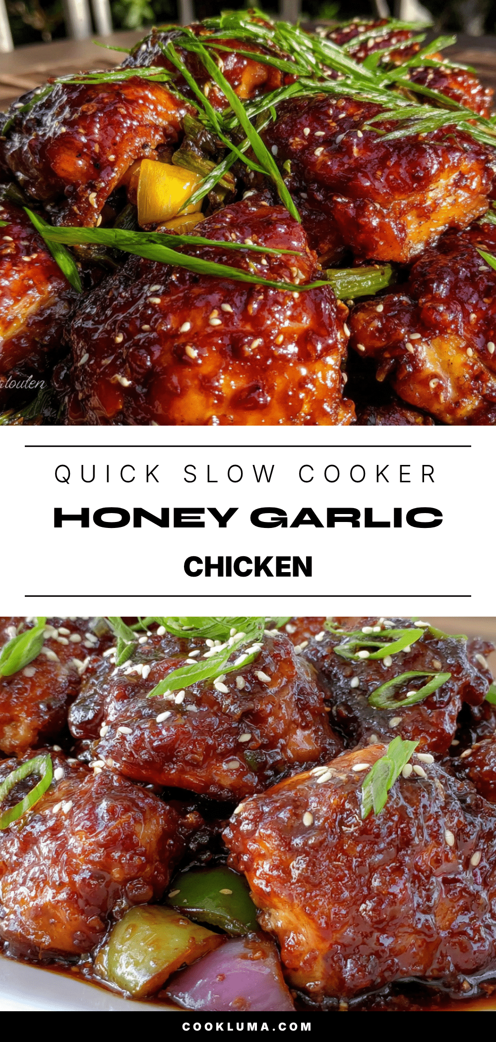 quick slow cooker honey garlic chicken recipe