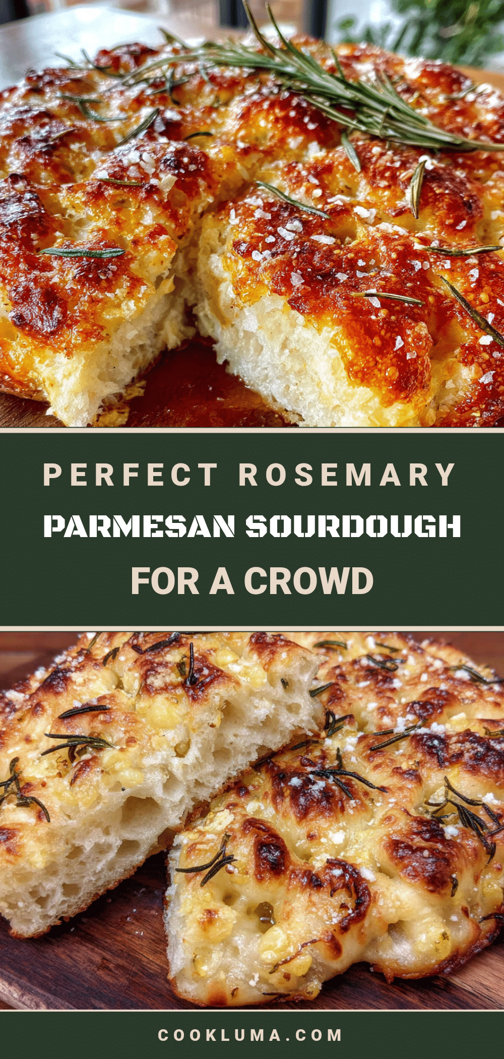 rosemary parmesan sourdough focaccia recipe